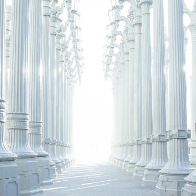 Managing Investment Application Bottlenecks in the Transitional Phase of the 2025 Investment Law